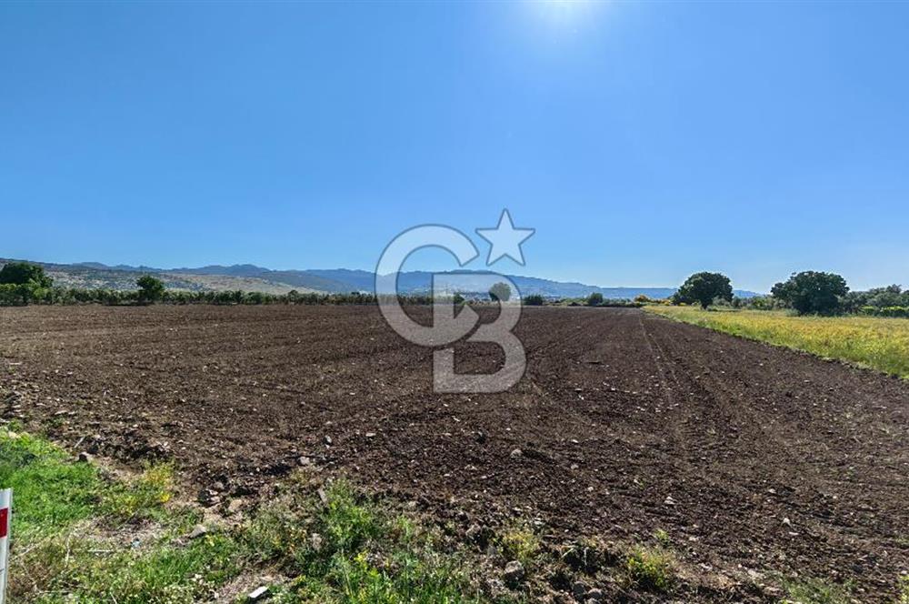 Dikili Kabakum Satılık Tarla 5258 Metrekare