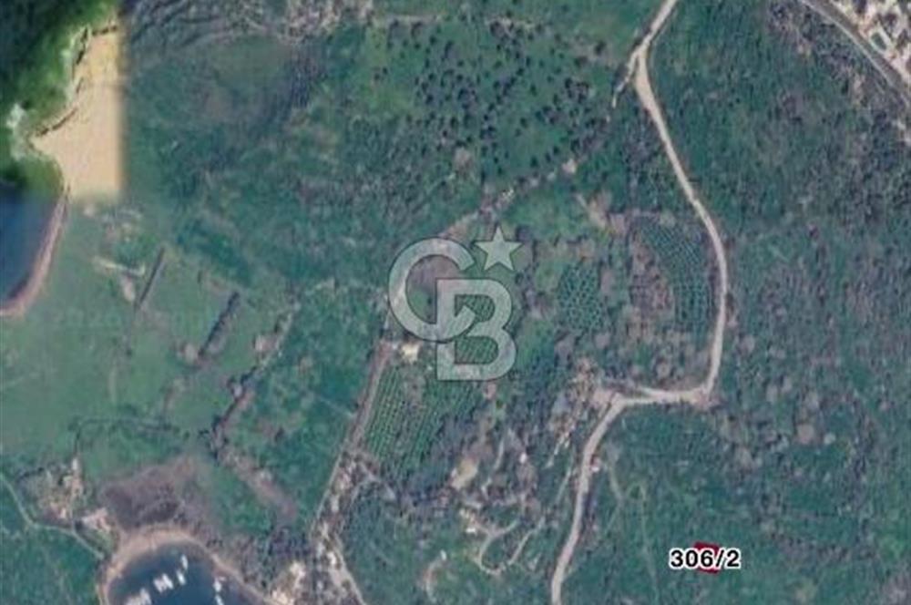 Bodrum Gümüşlük Deniz Manzaralı Arsa