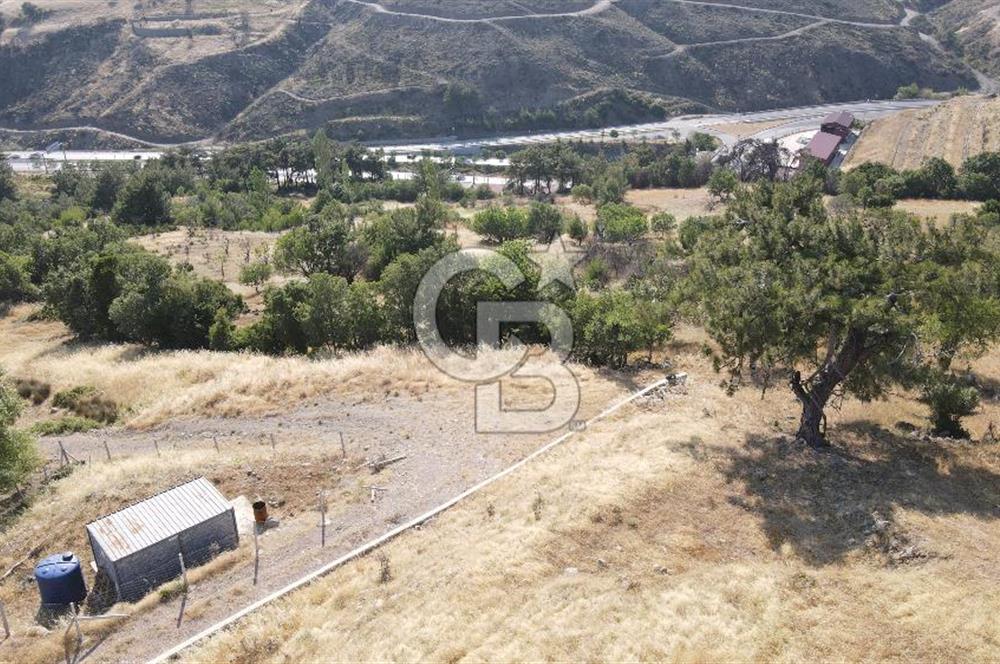 Bornova Beşyolda Fırsat Yola Cephe 210 m2 2b Tapulu Tarla
