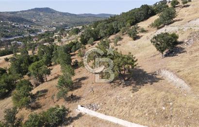 Bornova Beşyolda Fırsat Yola Cephe 210 m2 2b Tapulu Tarla