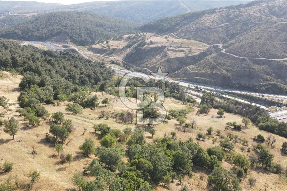 Bornova Beşyolda Fırsat Yola Cephe 210 m2 2b Tapulu Tarla