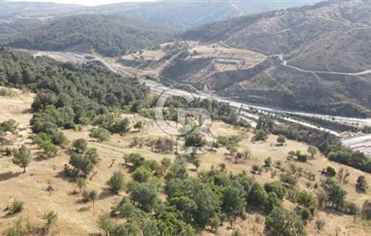 Bornova Beşyolda Fırsat Yola Cephe 210 m2 2b Tapulu Tarla