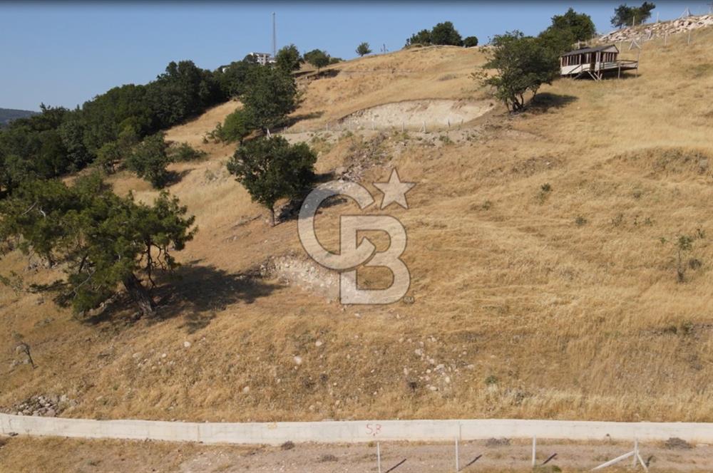 Bornova Beşyolda Fırsat Yola Cephe 210 m2 2b Tapulu Tarla