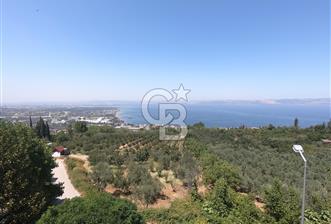 Karamürsel Dereköyde Deniz Manzaralı Havuzlu 3+1 Daire - 2 - 368749