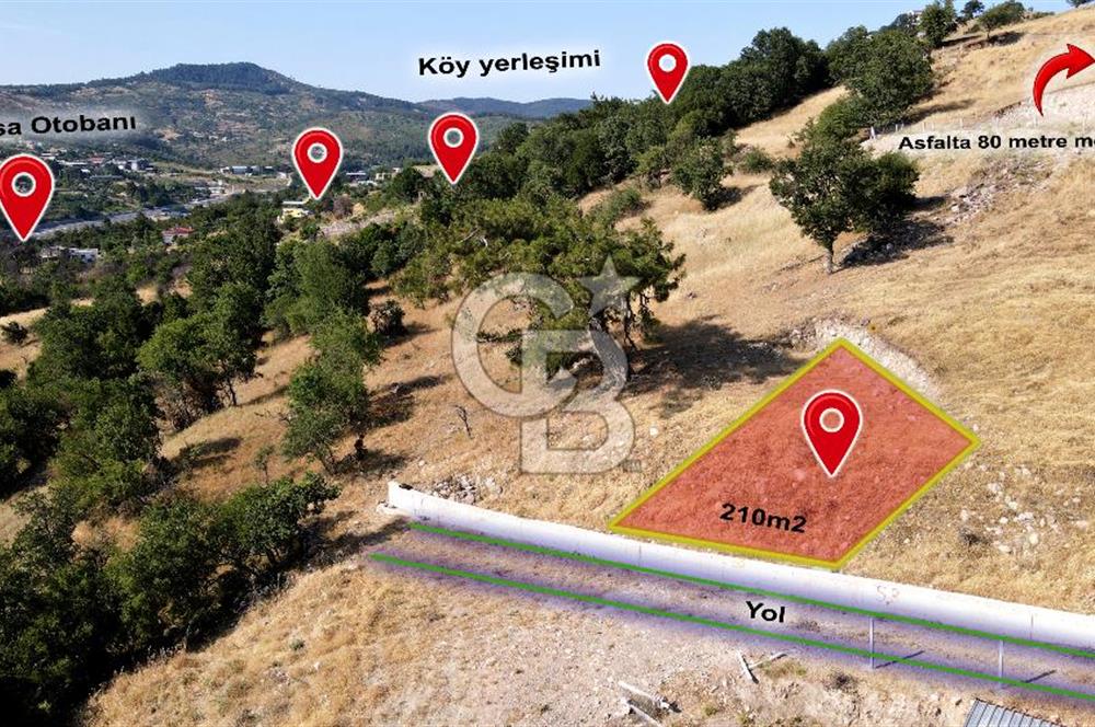 Bornova Beşyolda Fırsat Yola Cephe 210 m2 2b Tapulu Tarla