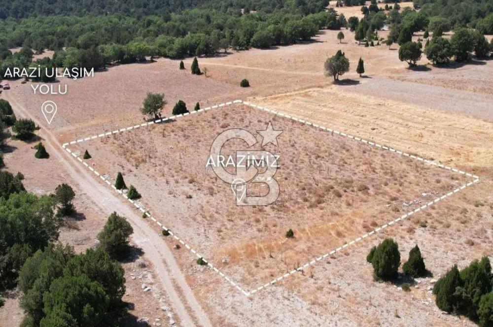 KÜTAHYA MERKEZ SAĞIRLAR KÖYÜ 3 DÖNÜM SATILIK TARLA