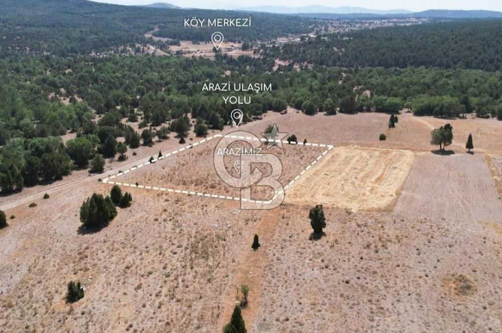 KÜTAHYA MERKEZ SAĞIRLAR KÖYÜ 3 DÖNÜM SATILIK TARLA