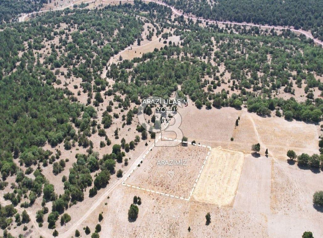 KÜTAHYA MERKEZ SAĞIRLAR KÖYÜ 3 DÖNÜM SATILIK TARLA