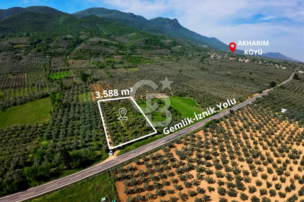 CB CLASS BURSA -ORHANGAZİ- AKHAREM 3.588 m² SATILIK ZEYTİNLİK