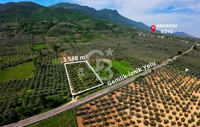 CB CLASS BURSA -ORHANGAZİ- AKHAREM 3.588 m² SATILIK ZEYTİNLİK