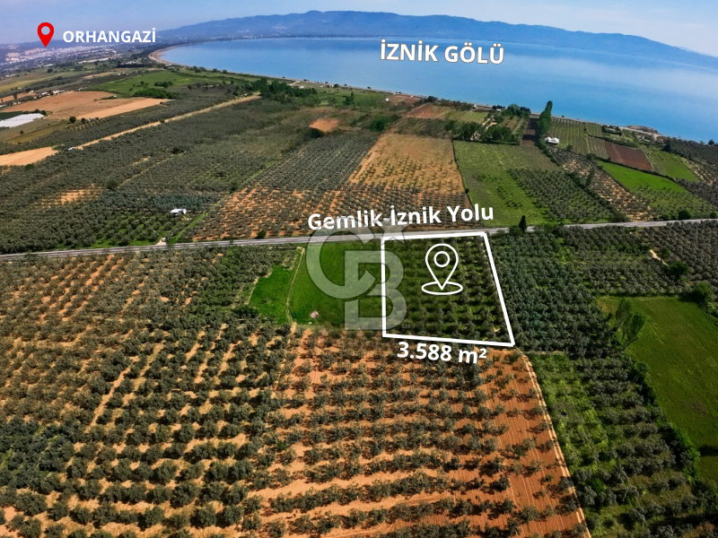 CB CLASS BURSA -ORHANGAZİ- AKHAREM 3.588 m² SATILIK ZEYTİNLİK
