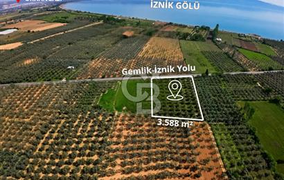 CB CLASS BURSA -ORHANGAZİ- AKHAREM 3.588 m² SATILIK ZEYTİNLİK