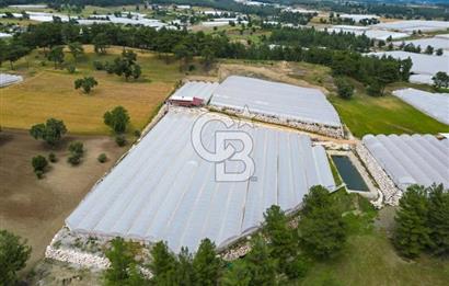 CB ARDEN'DEN KAŞ DİRGENLER SATILIK SERA VE EVİ
