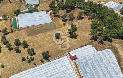 CB ARDEN'DEN KAŞ DİRGENLER SATILIK SERA VE EVİ