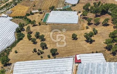 CB ARDEN'DEN KAŞ DİRGENLER SATILIK SERA VE EVİ