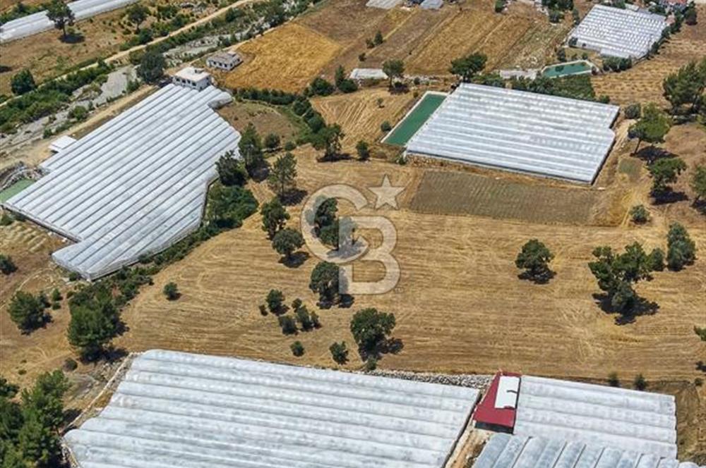 CB ARDEN'DEN KAŞ DİRGENLER SATILIK SERA VE EVİ