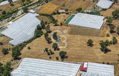 CB ARDEN'DEN KAŞ DİRGENLER SATILIK SERA VE EVİ