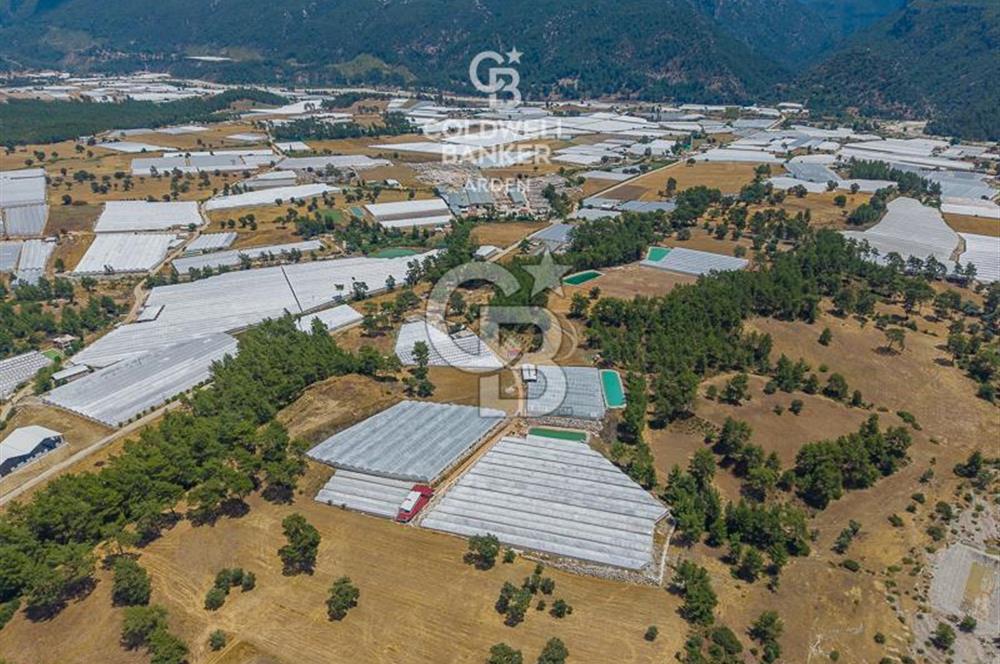 CB ARDEN'DEN KAŞ DİRGENLER SATILIK SERA VE EVİ