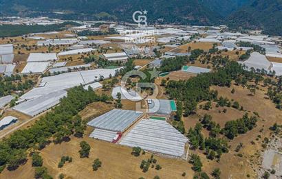 CB ARDEN'DEN KAŞ DİRGENLER SATILIK SERA VE EVİ