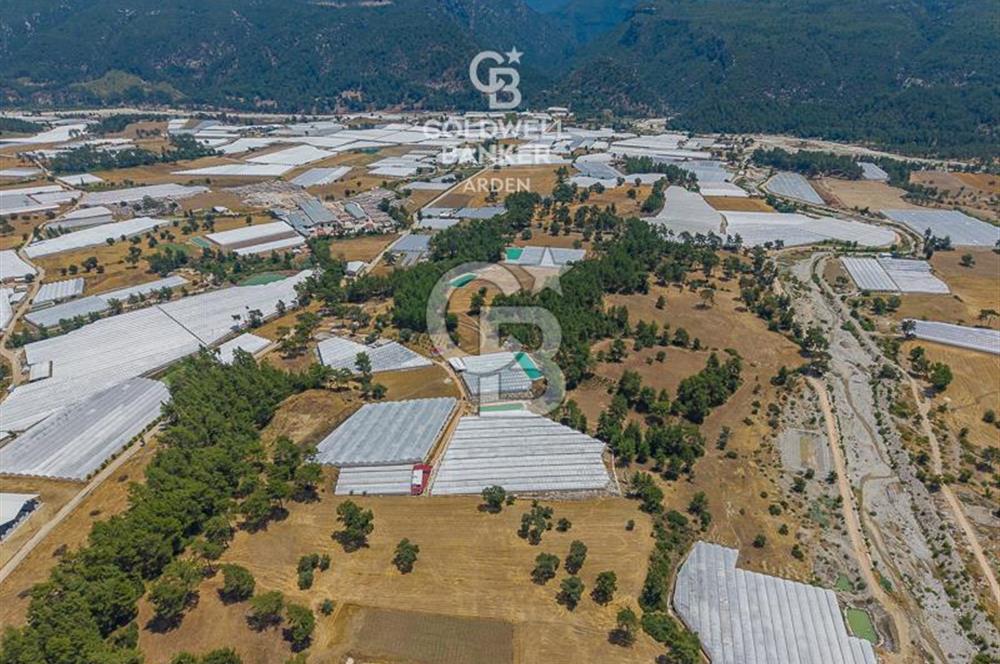 CB ARDEN'DEN KAŞ DİRGENLER SATILIK SERA VE EVİ