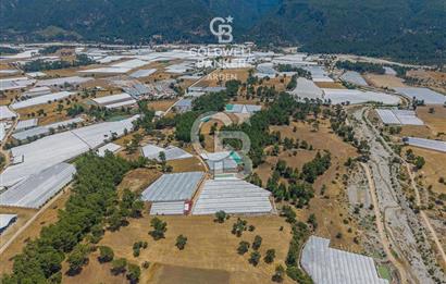 CB ARDEN'DEN KAŞ DİRGENLER SATILIK SERA VE EVİ