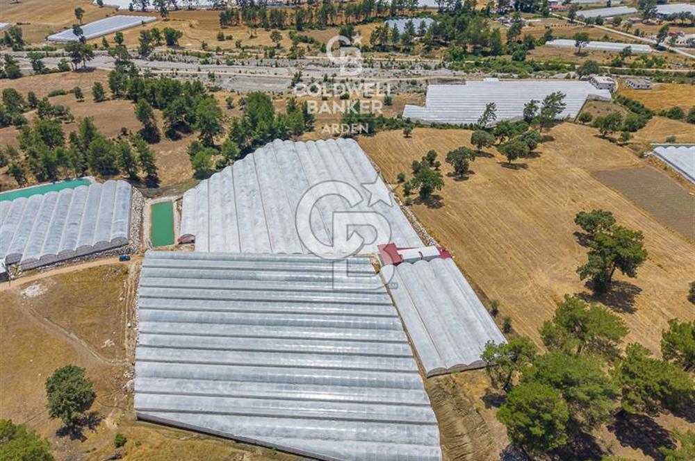 CB ARDEN'DEN KAŞ DİRGENLER SATILIK SERA VE EVİ