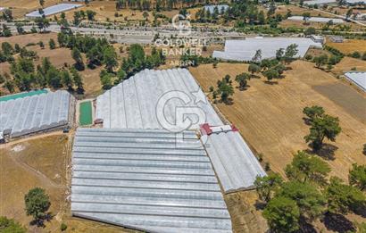 CB ARDEN'DEN KAŞ DİRGENLER SATILIK SERA VE EVİ