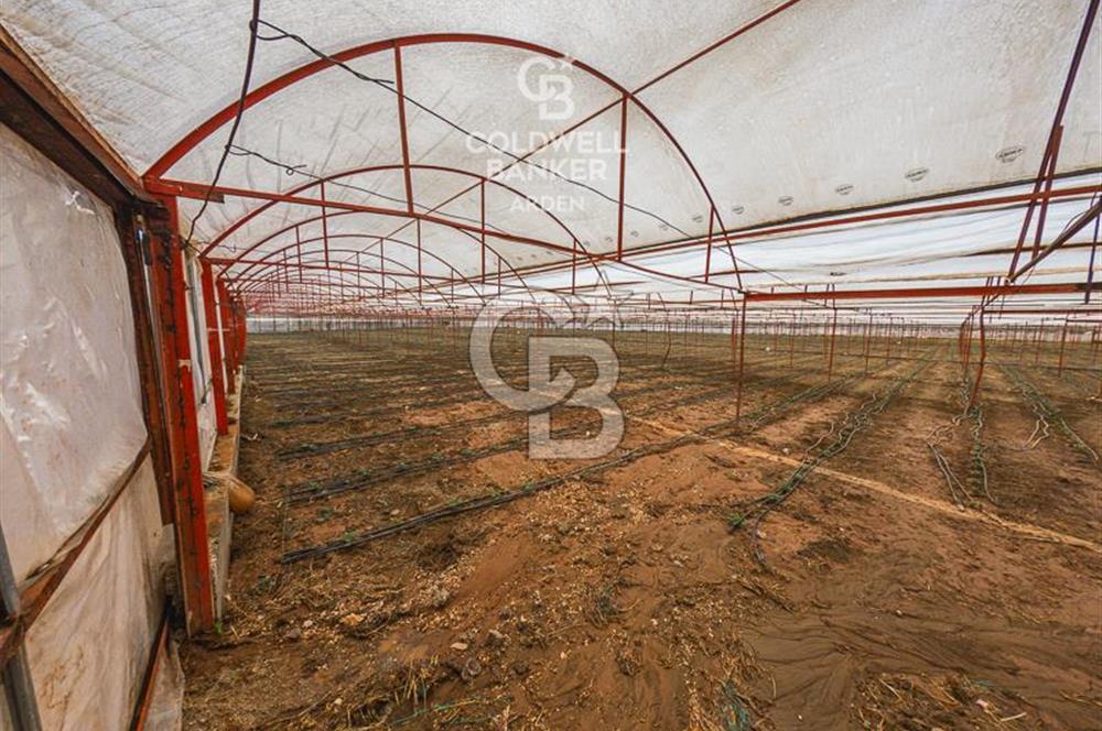 CB ARDEN'DEN KAŞ DİRGENLER SATILIK SERA VE EVİ