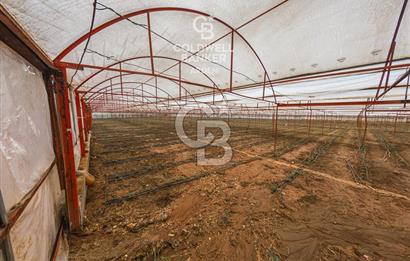 CB ARDEN'DEN KAŞ DİRGENLER SATILIK SERA VE EVİ