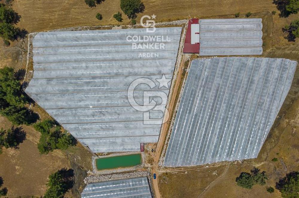 CB ARDEN'DEN KAŞ DİRGENLER SATILIK SERA VE EVİ