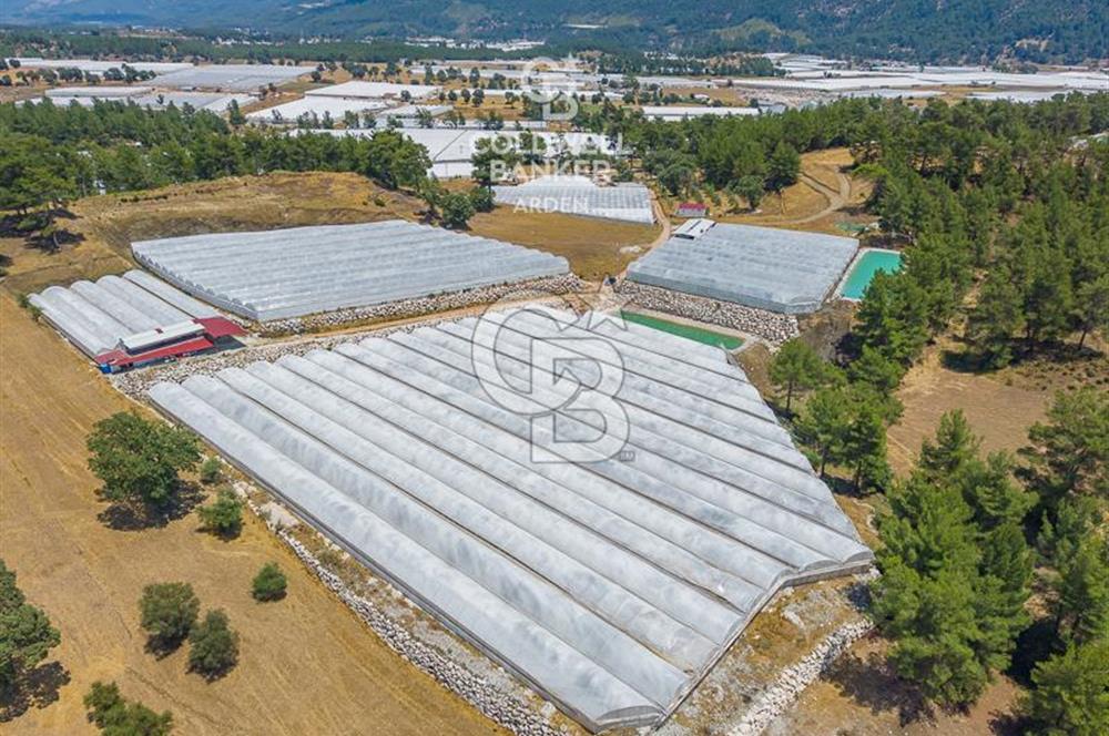 CB ARDEN'DEN KAŞ DİRGENLER SATILIK SERA VE EVİ