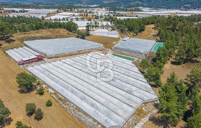 CB ARDEN'DEN KAŞ DİRGENLER SATILIK SERA VE EVİ