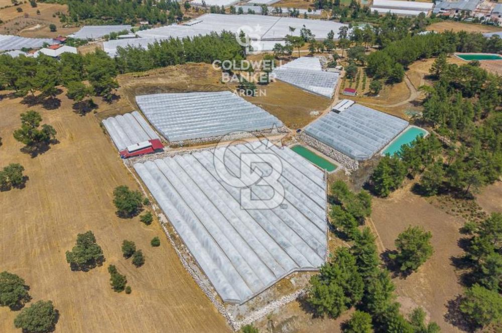 CB ARDEN'DEN KAŞ DİRGENLER SATILIK SERA VE EVİ