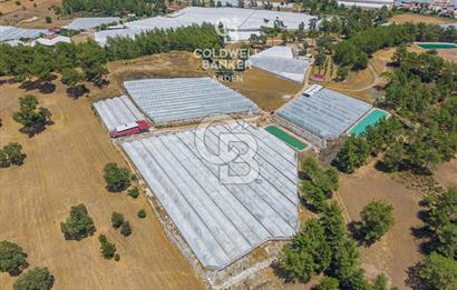 CB ARDEN'DEN KAŞ DİRGENLER SATILIK SERA VE EVİ
