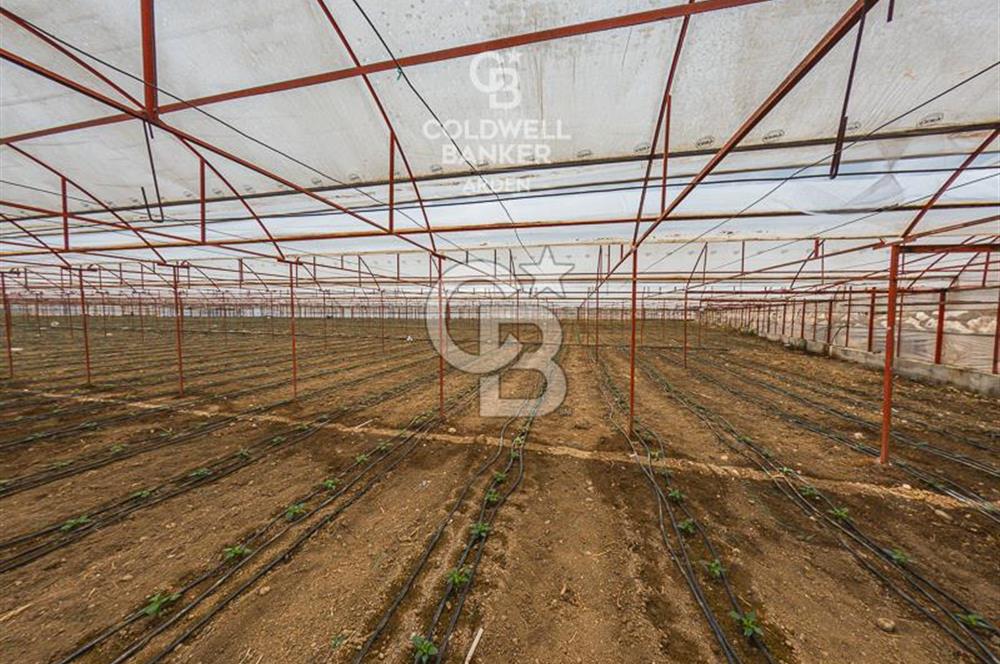 CB ARDEN'DEN KAŞ DİRGENLER SATILIK SERA VE EVİ