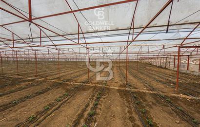 CB ARDEN'DEN KAŞ DİRGENLER SATILIK SERA VE EVİ