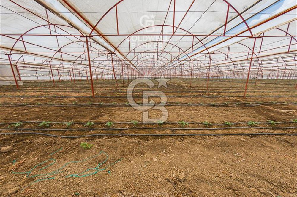 CB ARDEN'DEN KAŞ DİRGENLER SATILIK SERA VE EVİ