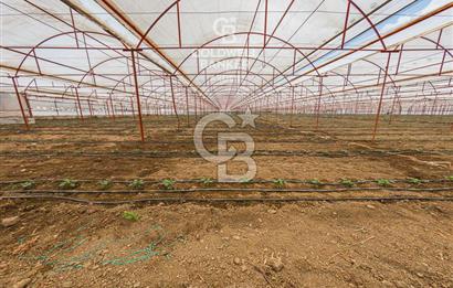 CB ARDEN'DEN KAŞ DİRGENLER SATILIK SERA VE EVİ