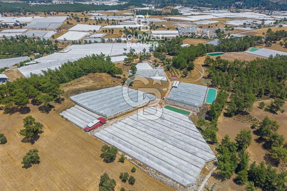 CB ARDEN'DEN KAŞ DİRGENLER SATILIK SERA VE EVİ