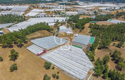 CB ARDEN'DEN KAŞ DİRGENLER SATILIK SERA VE EVİ