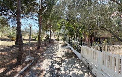 Çandarlı'nın En Güzel Konumunda Denize Yakın Satılık 3+1 Villa