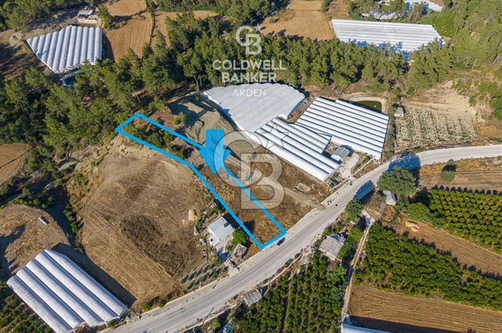 CB ARDEN'DEN KAŞ-ÇEŞME ANAYOLU ÜZERİ SATILIK TARLA 