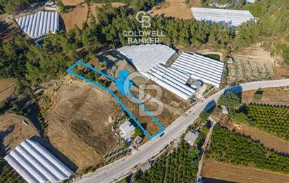 CB ARDEN'DEN KAŞ-ÇEŞME ANAYOLU ÜZERİ SATILIK TARLA 
