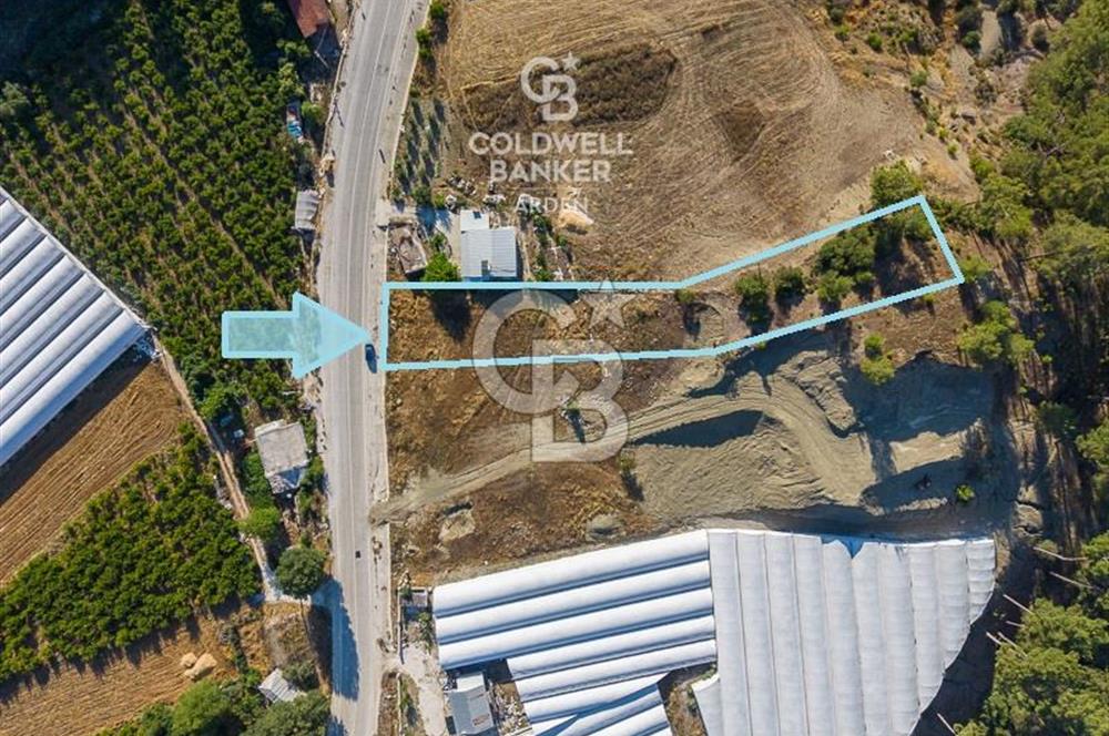 CB ARDEN'DEN KAŞ-ÇEŞME ANAYOLU ÜZERİ SATILIK TARLA 