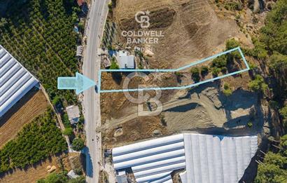 CB ARDEN'DEN KAŞ-ÇEŞME ANAYOLU ÜZERİ SATILIK TARLA 