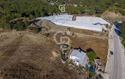 CB ARDEN'DEN KAŞ-ÇEŞME ANAYOLU ÜZERİ SATILIK TARLA 