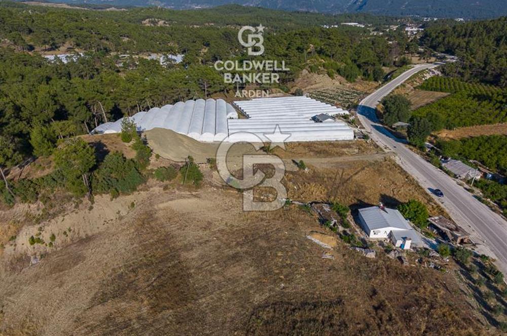 CB ARDEN'DEN KAŞ-ÇEŞME ANAYOLU ÜZERİ SATILIK TARLA 