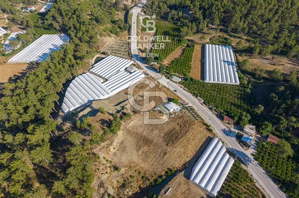 CB ARDEN'DEN KAŞ-ÇEŞME ANAYOLU ÜZERİ SATILIK TARLA 