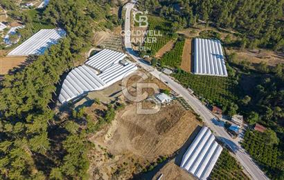 CB ARDEN'DEN KAŞ-ÇEŞME ANAYOLU ÜZERİ SATILIK TARLA 
