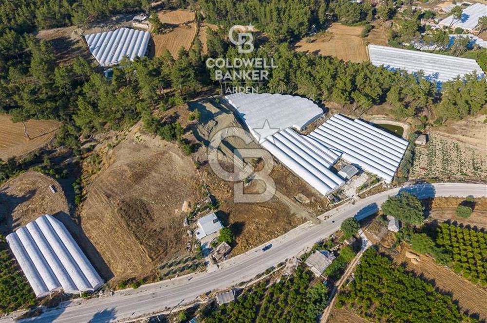CB ARDEN'DEN KAŞ-ÇEŞME ANAYOLU ÜZERİ SATILIK TARLA 